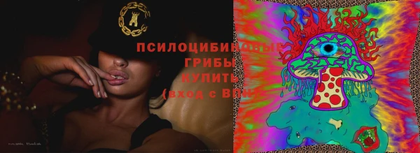 apvp Абаза