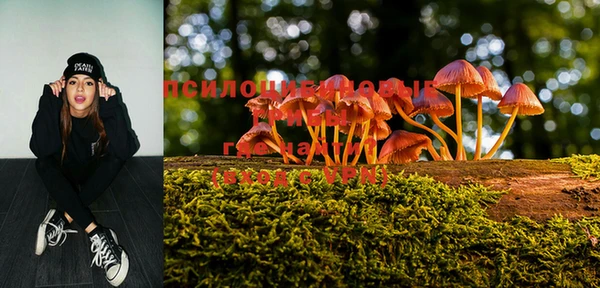 PSILOCYBIN Горнозаводск