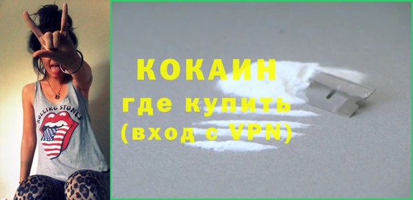 спайс Няндома